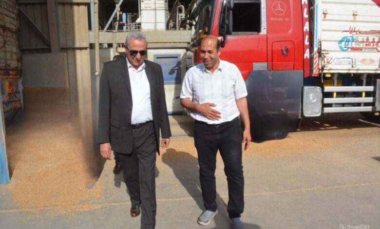 في جولة ميدانية مفاجئة.. محافظ الغربية يتفقد مواقع تخزين القمح بطنطا ويوجه بتيسير إجراءات الاستلام ودعم المزارعين