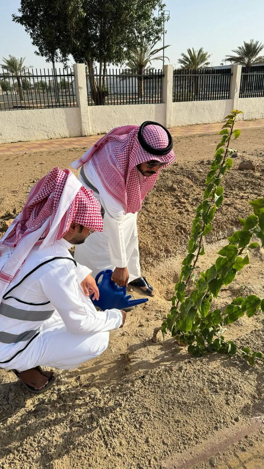 “بيئة رنية” تنفذ مبادرتي سقيا المزروعات وتوزيع المياه على المساجد ضمن جهودها لتعزيز الاستدامة