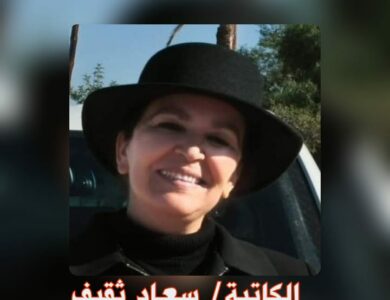 الرواية المصورة بين الفهم الاجتماعي والاعتراف بالمكانة الأدبية.