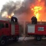 حريق يلتهم مزرعة ماشية في الفيوم.. نفوق 3 رؤوس ماشية والحماية المدنية تسيطر على النيران