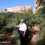 همسات وخواطر