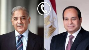 الرئيس السيسى يتلقى اتصالاً هاتفياً من رئيس الوزراء الباكستاني " شهباز شريف "