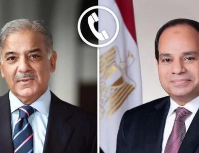 الرئيس السيسى يتلقى اتصالاً هاتفياً من رئيس الوزراء الباكستاني " شهباز شريف "