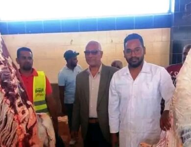 أسوان : ذبح 3169 رأس من الماشية بإشراف بيطرى كامل داخل 13 مجزر خلال عيد الأضحى