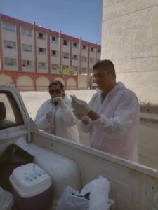مديرية الطب البيطري تقود حملة لتحصين الكلاب الضالة ضد السعار بحي الجنوب ببورسعيد.