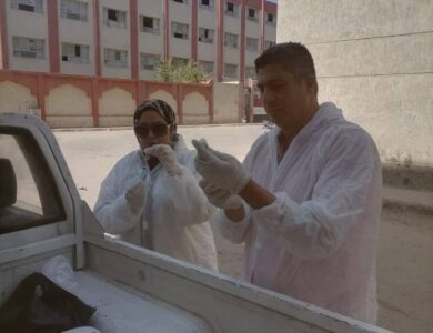مديرية الطب البيطري تقود حملة لتحصين الكلاب الضالة ضد السعار بحي الجنوب ببورسعيد.