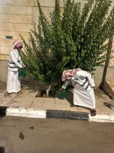 بيئة الخرمة تنفذ مبادرة سقيا الأشجار لتعزيز الغطاء النباتي وتحقيق الاستدامة