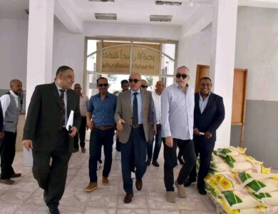 "محافظ الأقصر" يتفقد حاضنة الأعمال بمدينة طيبة الجديدة ويشيد بجهود الشباب..بالصور