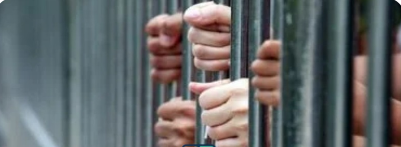 مابين الدقهليه والشرقيه …ضبط تشكيل عصابي يتزعمه “الاستاذ” للاتجار بالمواد المخدرة