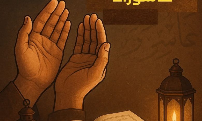 هنا نابل