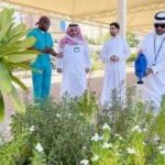 “بيئة العاصمة المقدسة” تنفذ مبادرات تطوعية لتعزيز استدامة المزروعات