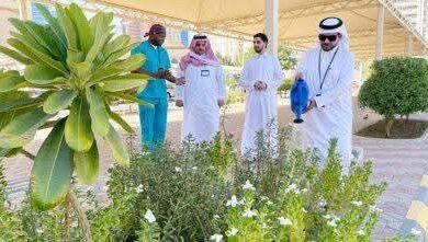 “بيئة العاصمة المقدسة” تنفذ مبادرات تطوعية لتعزيز استدامة المزروعات