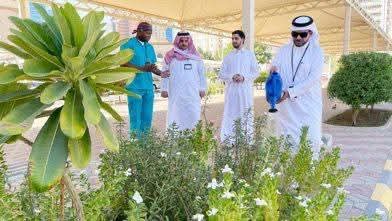 “بيئة العاصمة المقدسة” تنفذ مبادرات تطوعية لتعزيز استدامة المزروعات