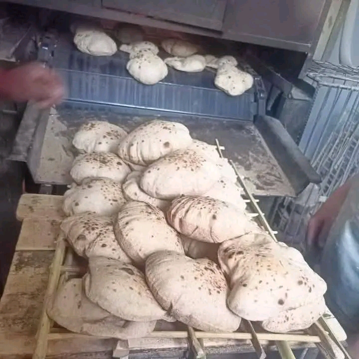 محافظ أسيوط: 282 محضر متنوع خلال حملات تموينية على المخابز البلدية والأسواق بالمراكز والأحياء
