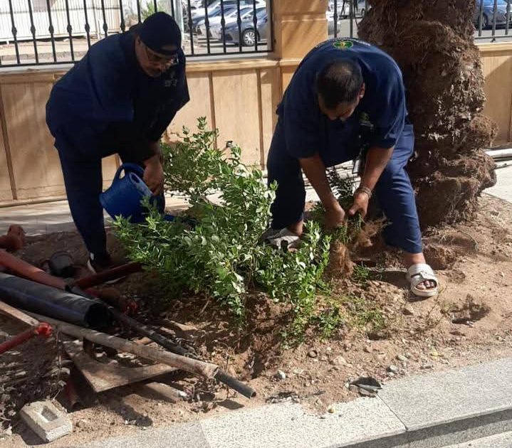 “بيئة جدة” تنفذ مبادرة تطوعية لرعاية الشتلات في مقر الأمن الدبلوماسي لتحقيق الاستدامة