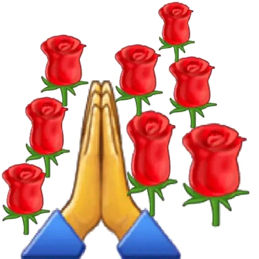 بيوت الغرباءِ
