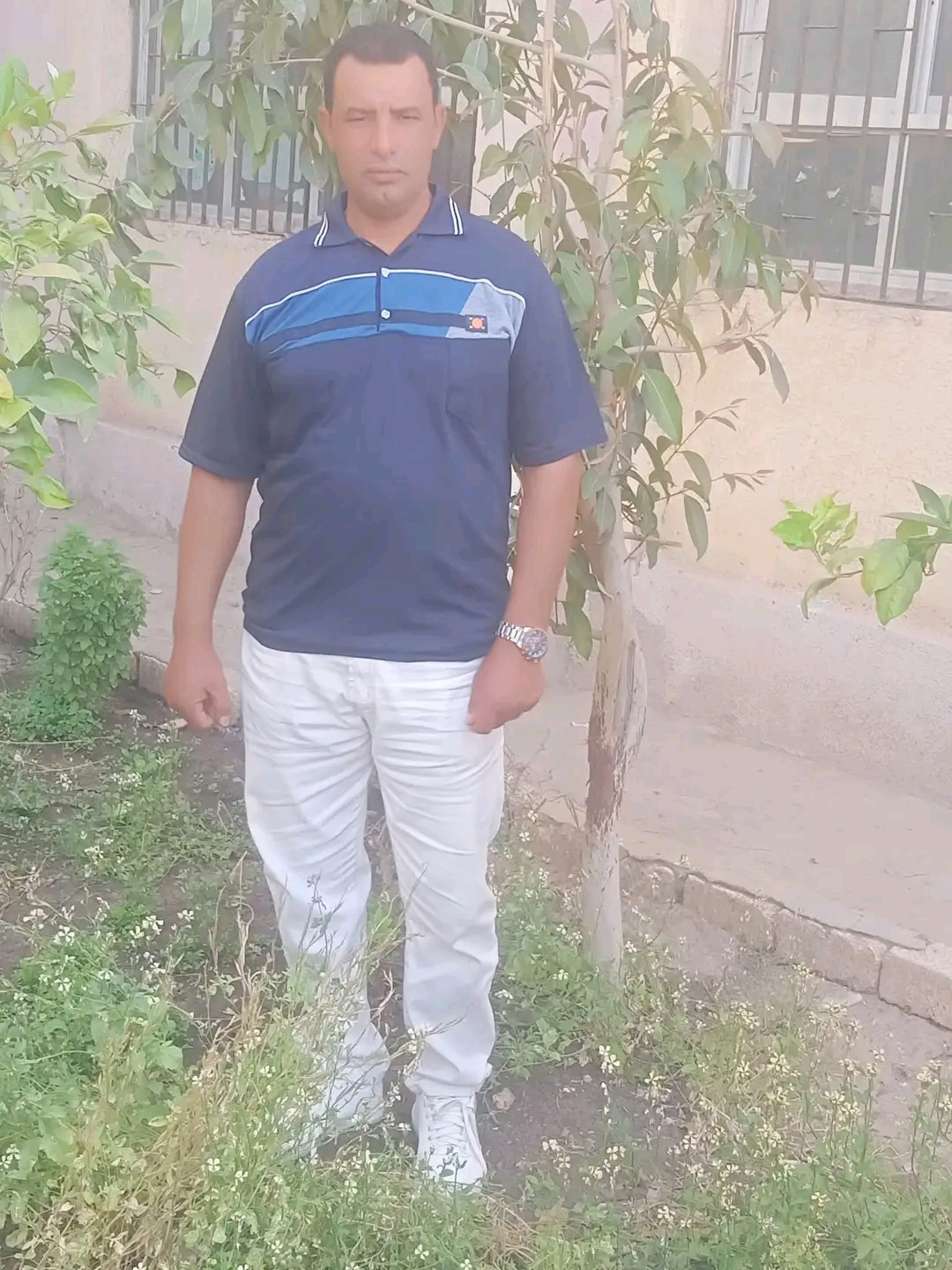 قصيدة(سندريلا)