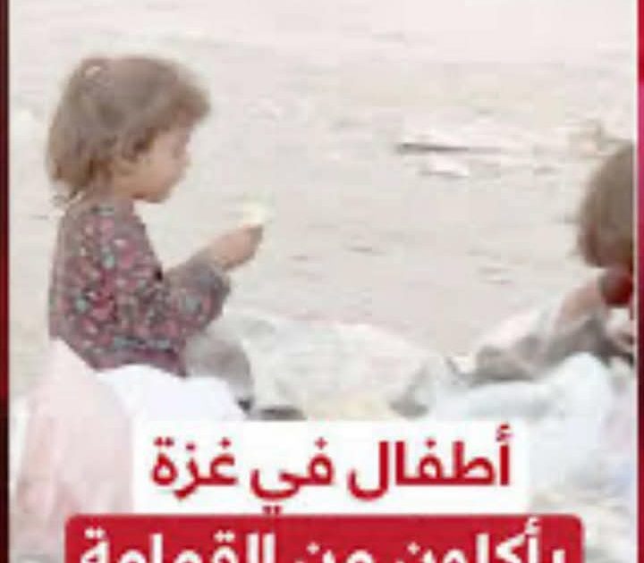 أطفال غزة وأمهاتهم يأكلون القمامة