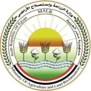 الزراعة" تعلن عن موافقة الاتحاد الأوروبي على تيسير إجراءات تصدير البطاطس المصرية إليها