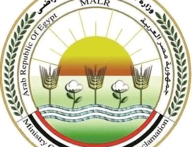 الزراعة" تعلن عن موافقة الاتحاد الأوروبي على تيسير إجراءات تصدير البطاطس المصرية إليها
