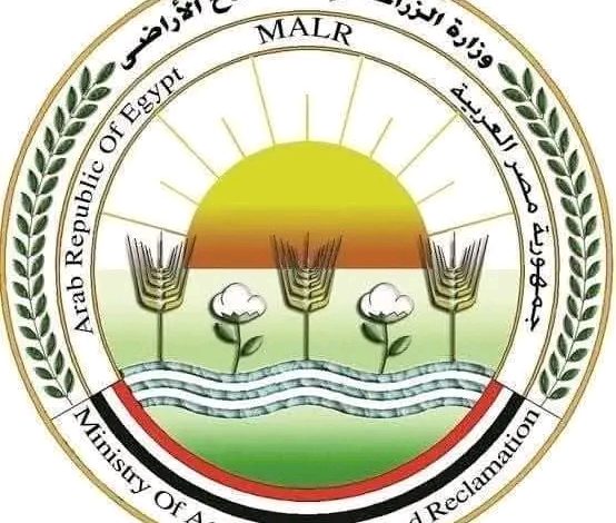 الزراعة" تعلن عن موافقة الاتحاد الأوروبي على تيسير إجراءات تصدير البطاطس المصرية إليها