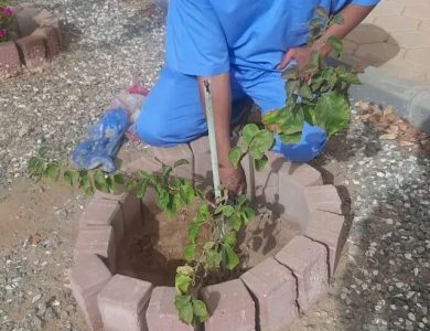 بيئة جدة تنفذ مبادرة لسقيا ومتابعة الشتلات المزروعة في الكلية التقنية للبنات*