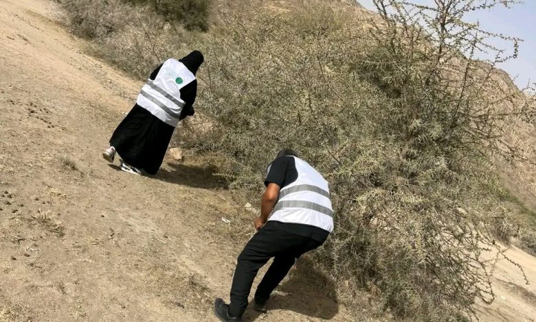 بيئة الطائف تنفذ مبادرة تطوعية لتنظيف منتزه الوهط والوهيط تزامناً مع الموسم السياحي