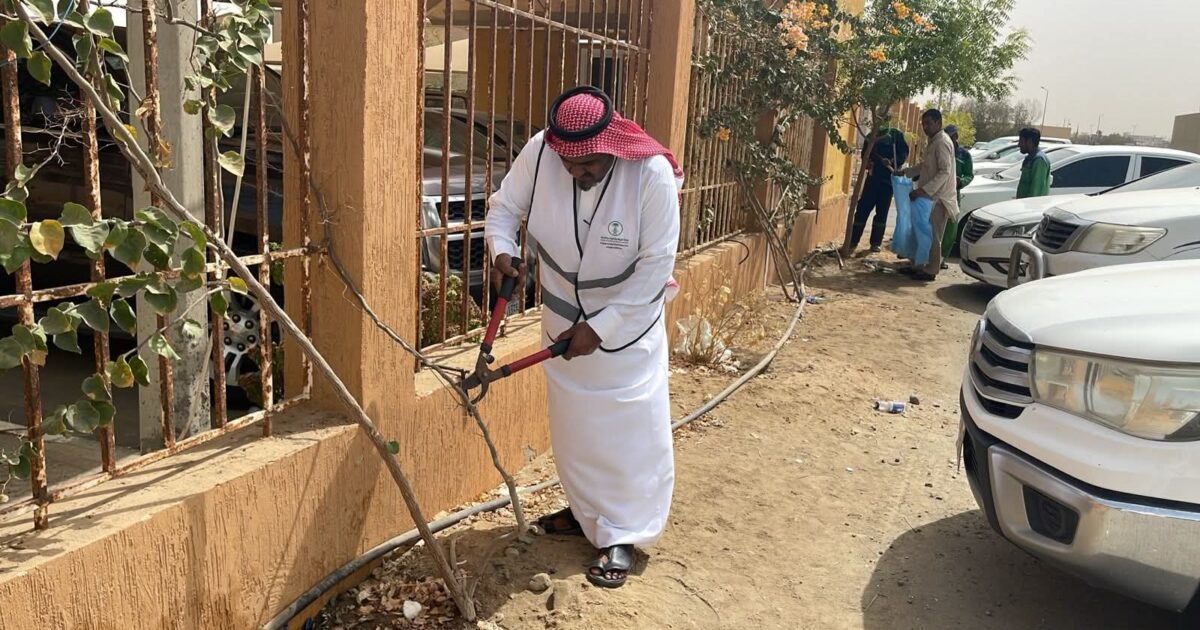 بيئة القنفذة" تنفذ مبادرات ميدانية لتحسين البيئة الزراعية