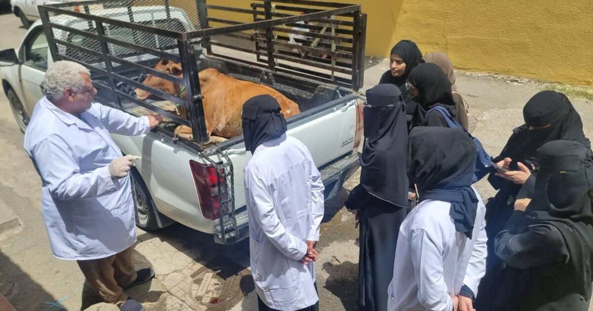 ‏بيئة الطائف تنظّم ورشة تدريبية لتأهيل خريجات الطب البيطرى