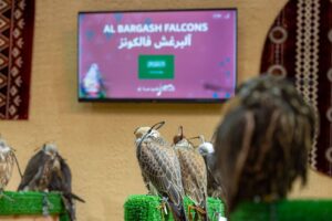 مزرعة سعودية تشارك بـ111 صقرًا في المزاد الدولي لمزارع إنتاج الصقور 2025