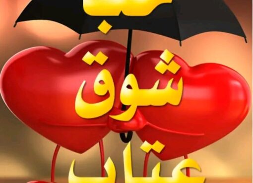 حب وعتاب حب وعتاب