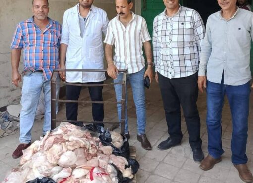 ضبط 242 كيلو لحوم فاسدة في سوهاج ضبط 242 كيلو لحوم فاسدة في سوهاج