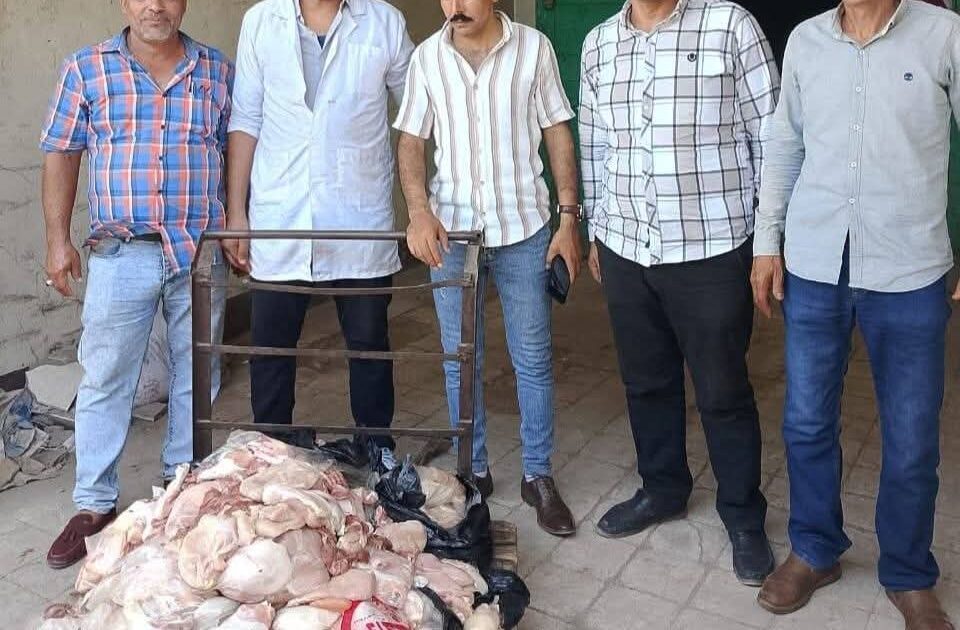 ضبط 242 كيلو لحوم فاسدة في سوهاج