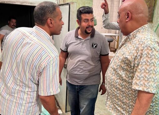 الجيزة: ضبط 3 أطنان لحوم وأحشاء فاسدة بأوسيم