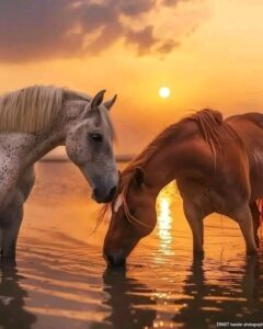 اتعرف من انا