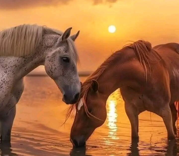 اتعرف من انا