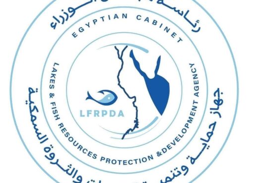 بحيرة قارون تواصل استعادة عافيتها بإنزال الدفعة الخامسة من يرقات الجمبري