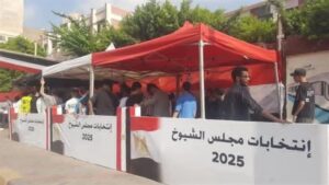 بدء جولة الإعادة لانتخابات مجلس الشيوخ 2025 في 5 محافظات