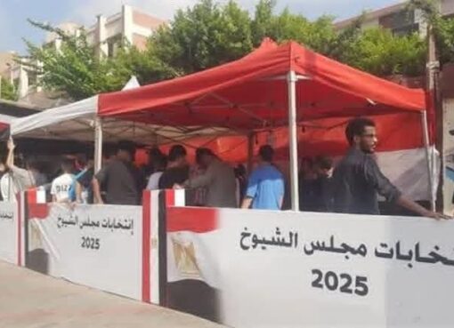 بدء جولة الإعادة لانتخابات مجلس الشيوخ 2025 في 5 محافظات بدء جولة الإعادة لانتخابات مجلس الشيوخ 2025 في 5 محافظات