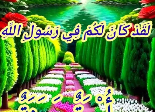 الأنوار المحمدية  إطلالة الأنوار المحمدية  إطلالة