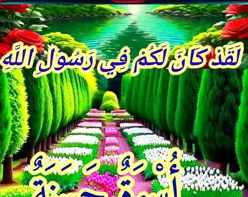 الأنوار المحمدية  إطلالة