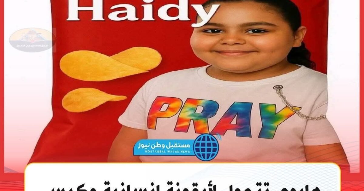 شيبسي هايدي 