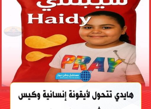 شيبسي هايدي  شيبسي هايدي