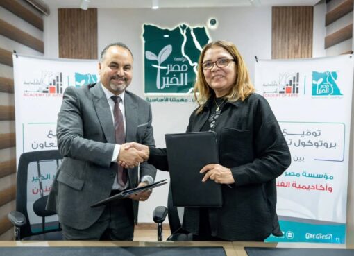 جهود وزارة الثقافة المصرية جهود وزارة الثقافة المصرية