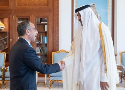 السفير المصري يلتقي أمير دولة قطر