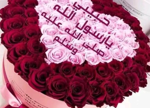 رسولُ السَّلا رسولُ السَّلا