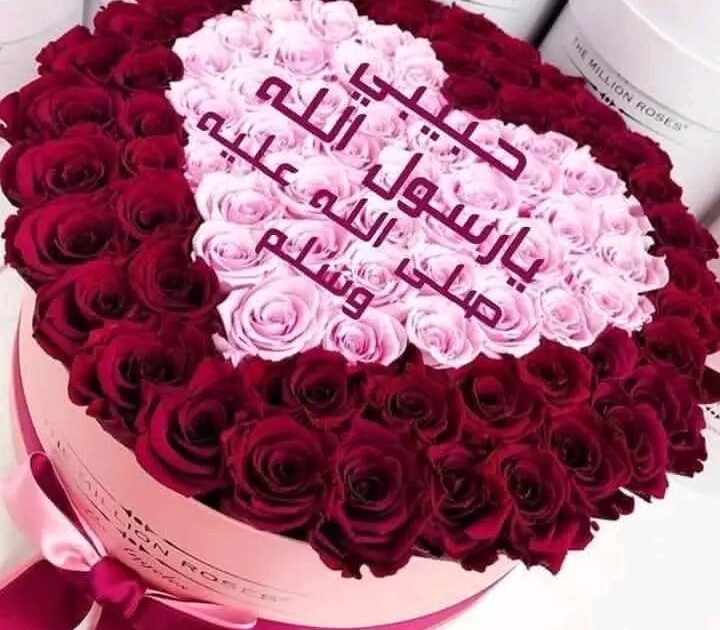 رسولُ السَّلا