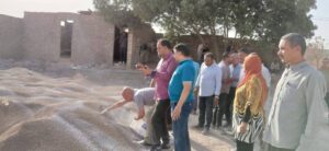 محافظة الجيزة تضبط 3 منشآت غير مرخصة لإنتاج الأسمدة المغشوشة بالصف