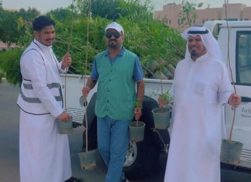 بيئة الجموم تنفذ مبادرة لتشجير مدخل قيادة أمن الحج والعمرة بـ 1000 شتلة بيئة الجموم تنفذ مبادرة لتشجير مدخل قيادة أمن الحج والعمرة بـ 1000 شتلة