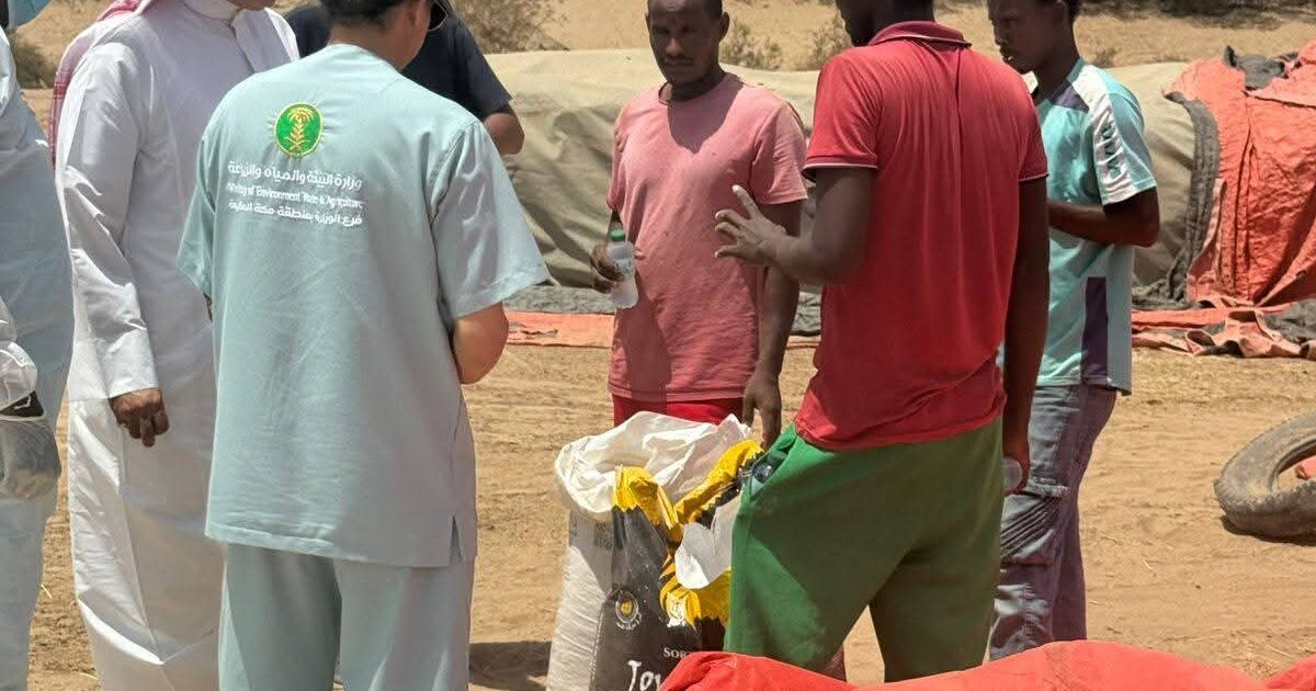 بيئة خليص تباشر بلاغ نفوق عدد من المواشي نتيجة اشتباه تسمم غذائي